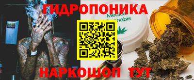 крисы Белореченск