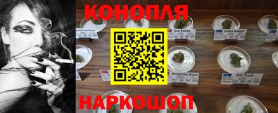 крисы Белореченск