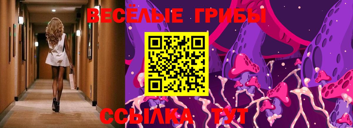 Галлюциногенные грибы Psilocybine cubensis Белореченск