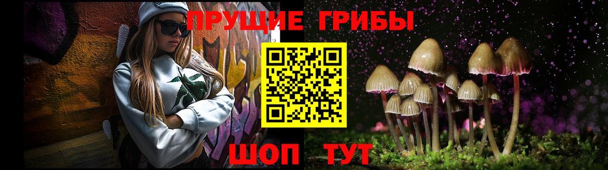 купить наркоту  Галлюциногенные грибы MAGIC MUSHROOMS  Вход с VPN  Белореченск 